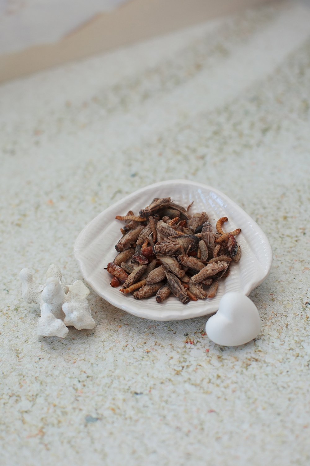 Микс насекомых Микс насекомых