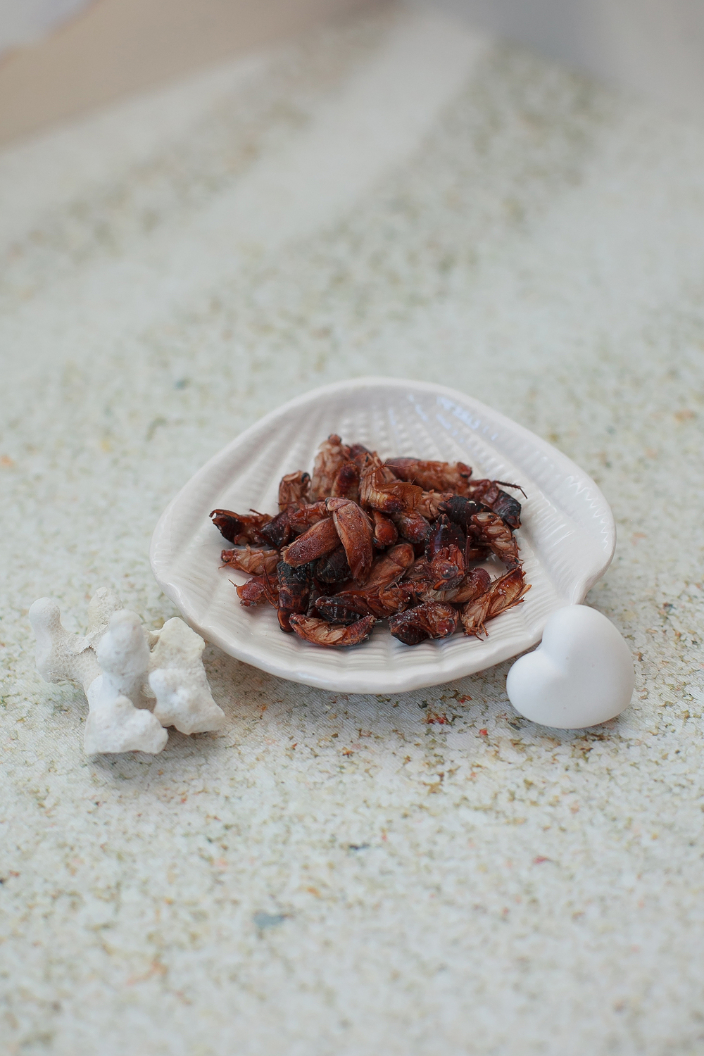 Туркменский таракан Туркменский таракан