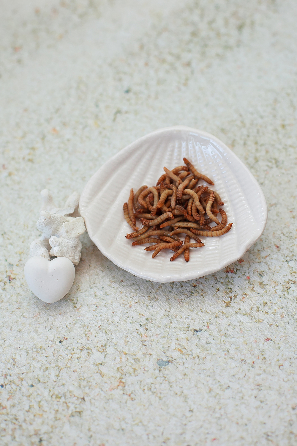 Мучник Мучник